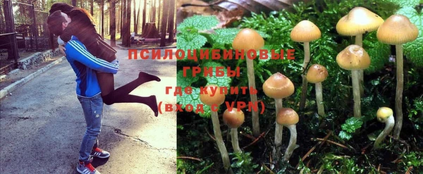 2c-b Медвежьегорск