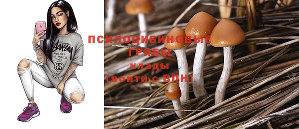 трава Мегион