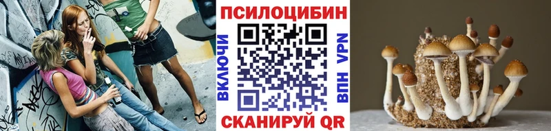 Купить  Кораблино  Галлюциногенные грибы мухоморы 